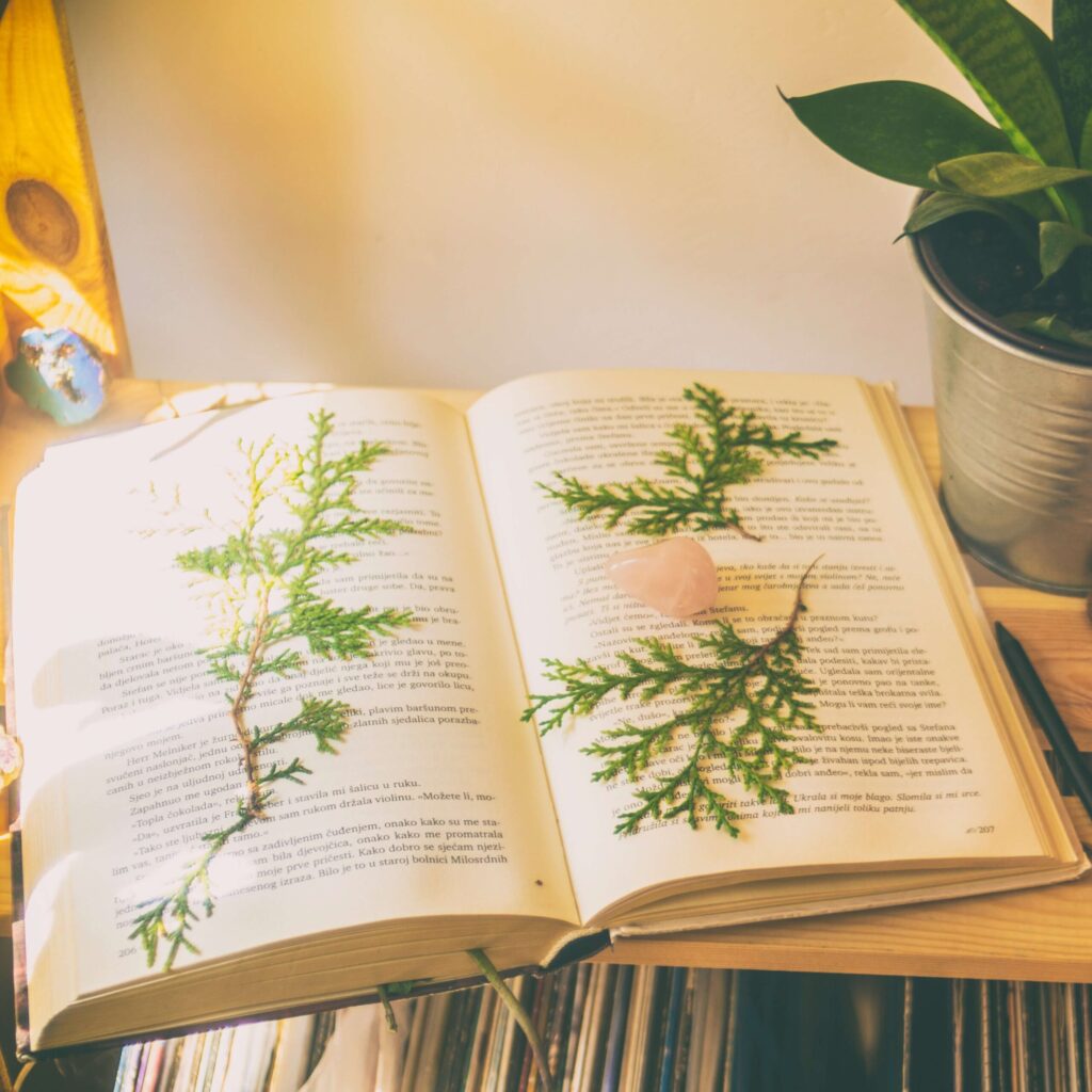 15972208822265 scaled